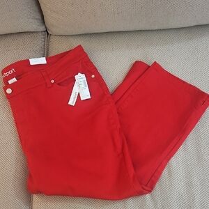 Dressbarn Westport Capris